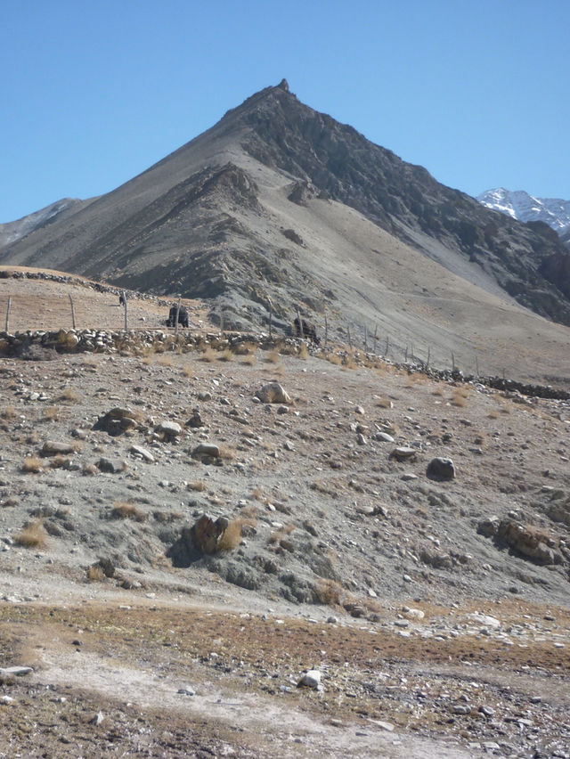 Hidden Valley Between Zinchan and Rumbak: A Remote Himalayan Escape
