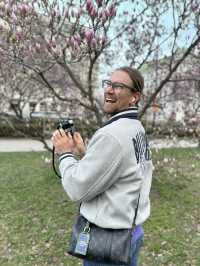 Best time to catch spring blossom in Vienna 