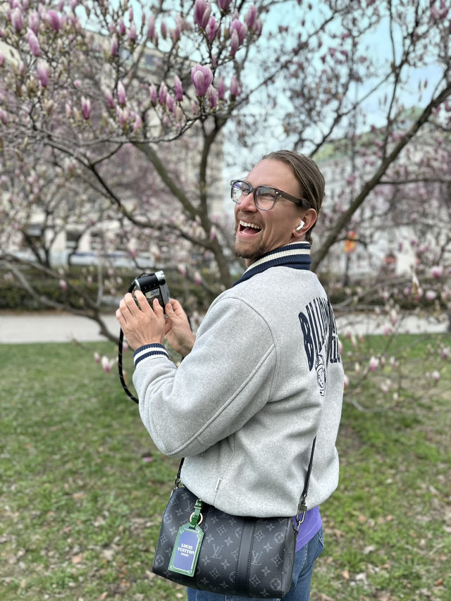 Best time to catch spring blossom in Vienna 