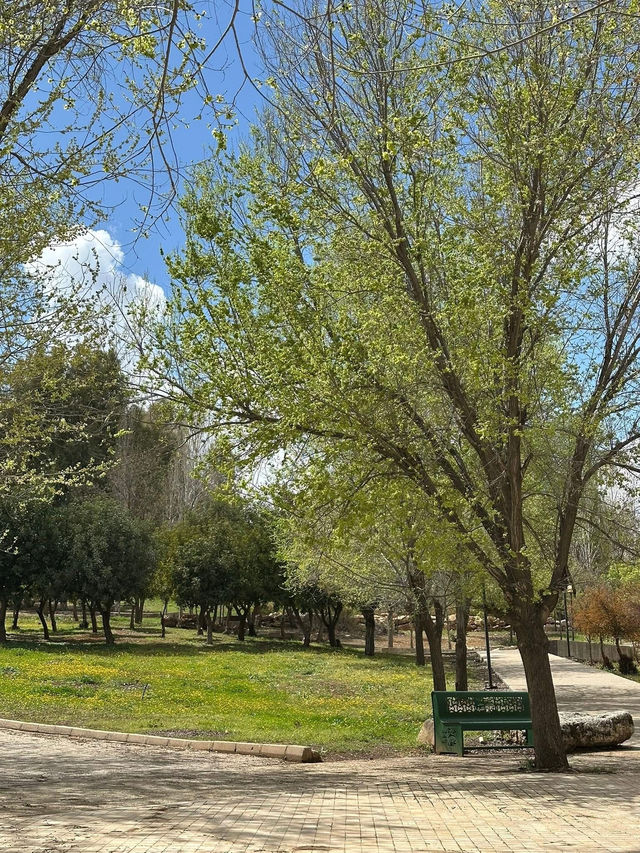 Al-Hussein Park