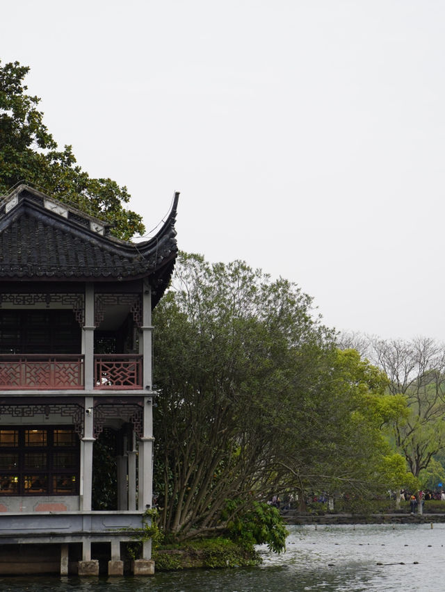 Hangzhou West Lake Day! 🌸🌸🌸