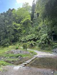 The Azores are one of the best hiking destinations in the world. 