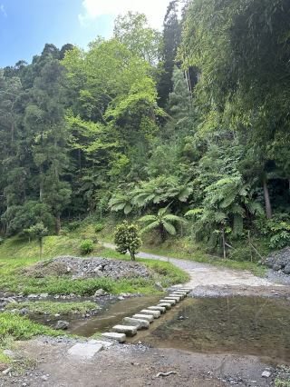 The Azores are one of the best hiking destinations in the world. 