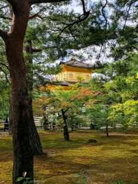 Osaka, Kyoto, Nara, itinerary plan for 3 days