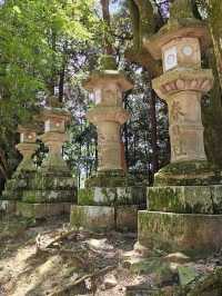 🦌 Nara Day Trip: What to See and How to Get There from Kyoto/Osaka