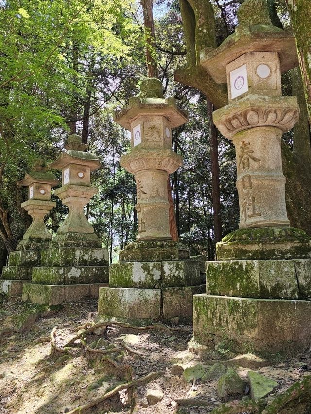 🦌 Nara Day Trip: What to See and How to Get There from Kyoto/Osaka