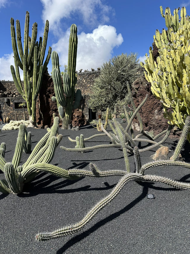 Let me tell on how Trip.com changed my Canary Islands journey