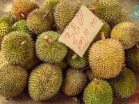 Kuching, Borneo: A Cat Lover’s Paradise  