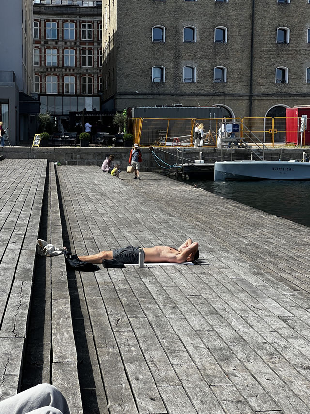 See Copenhagen in Color: Hop On, Discover More! ❤️🚌🇩🇰