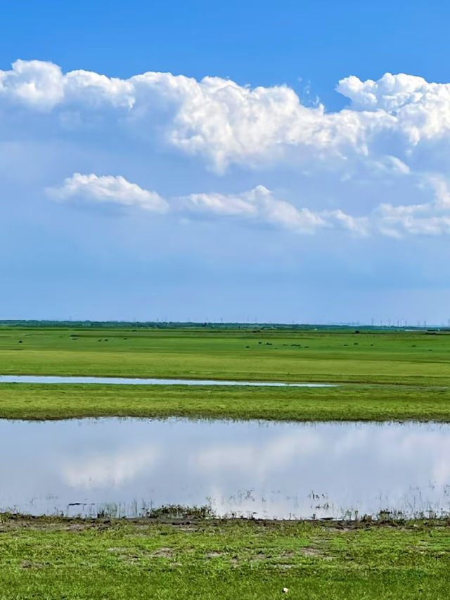 Zhangbei Grassland Sky Road: A Drive Above the Clouds