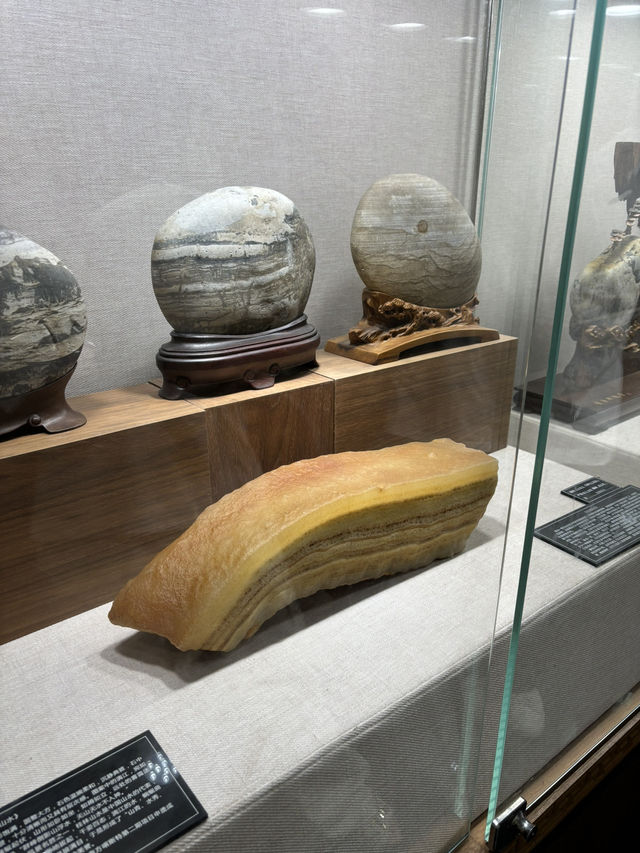 A relaxing day trip in beautiful Yongjia Academy 
