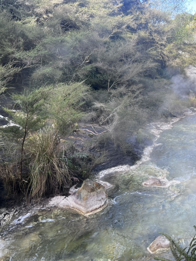 看看火山爆發🌋