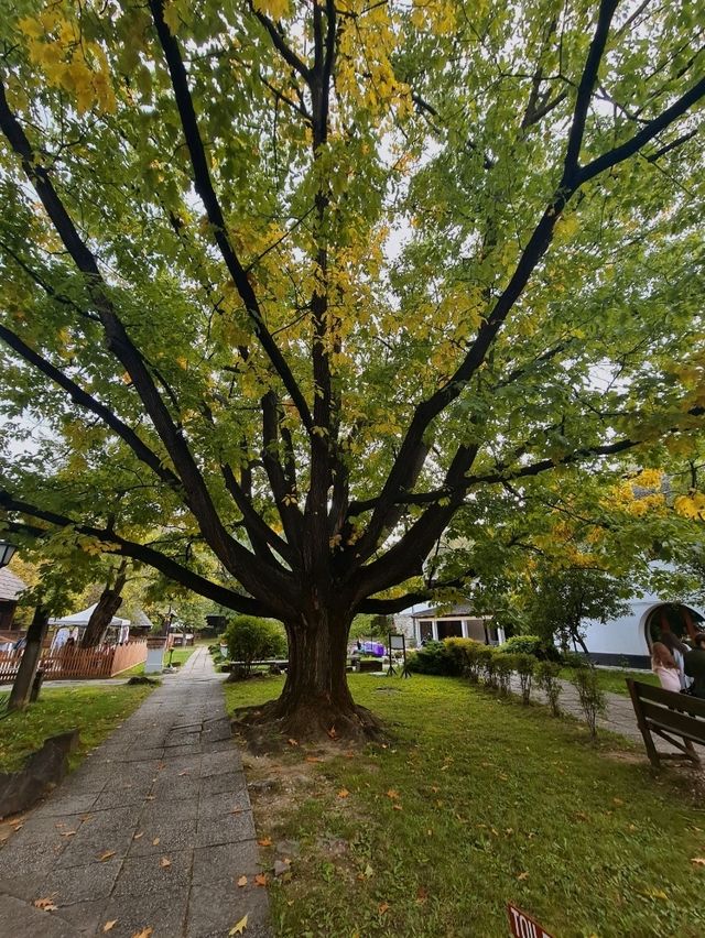 🍂 The Village Museum in Bucharest – A Peaceful Autumn 
