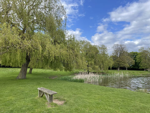 Kingston🇬🇧Nature Fix: A Royal Retreat at Home Park 🦌