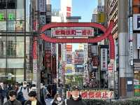 Two iconic cities, endless neon: Tokyo x Kyoto Review