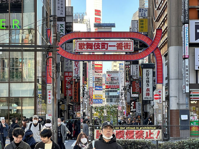 Two iconic cities, endless neon: Tokyo x Kyoto Review