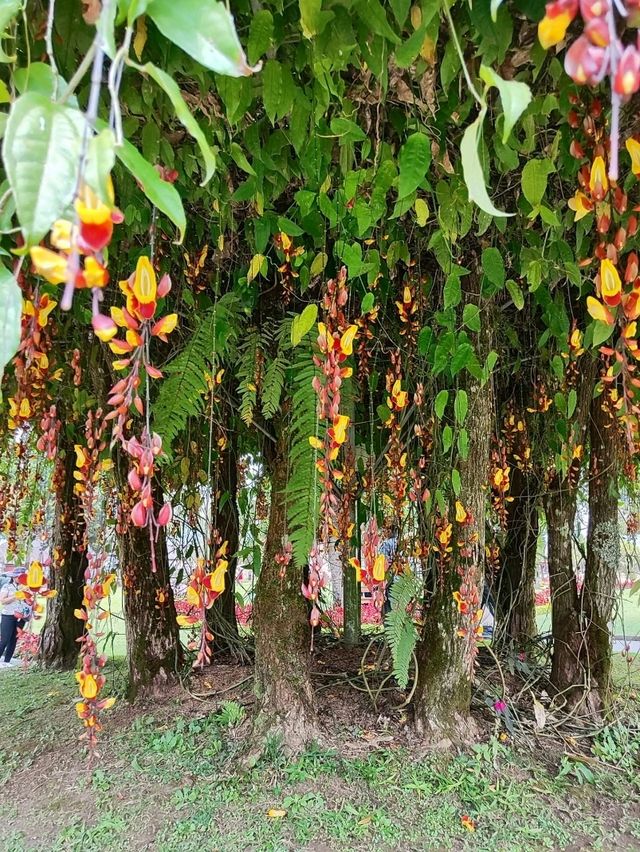 Bali on a Budget: Affordable Island Bliss