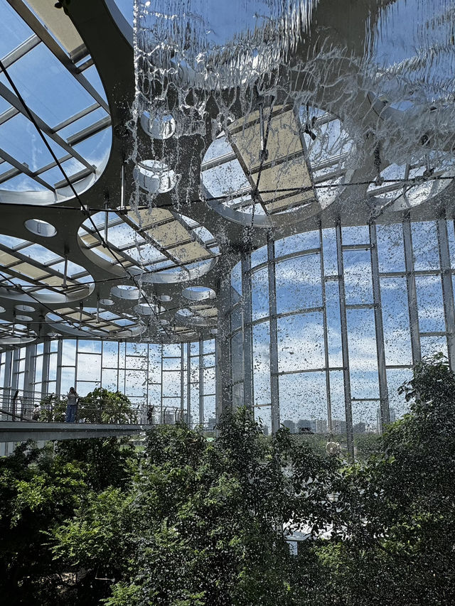 Shanghai Greenhouse Garden 🌿✨