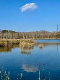 Autumn Light and Wind at Yanqi Lake 🌾💨