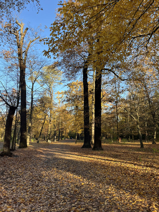 Beautiful Park & Local Food in Berlin🧡🇩🇪