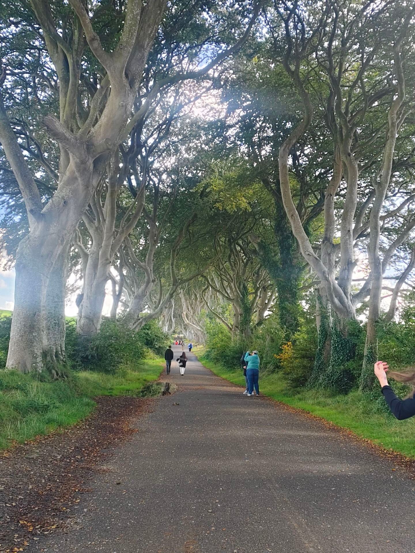 Unforgettable Day Exploring Ireland: Giants Causeway, Dark Hedges, Dunluce & Belfast T