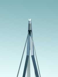 Swan | Erasmus Bridge