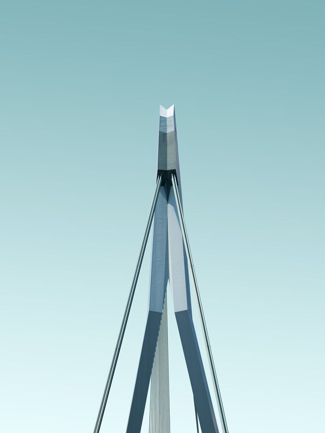Swan | Erasmus Bridge