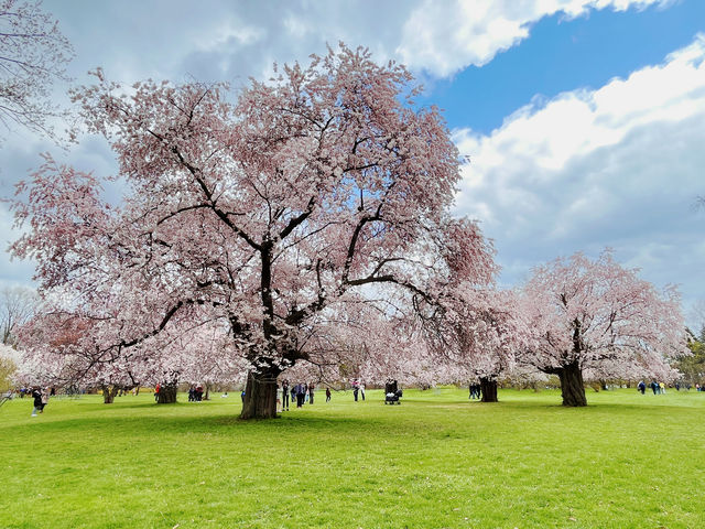 Early spring at the Royal Botanical Gardens in Canada.