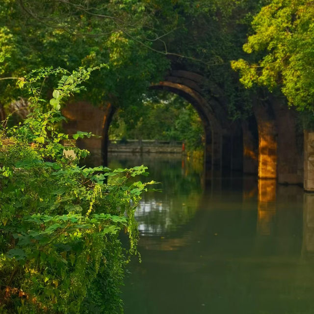 A park worth visiting !🤩🇨🇳