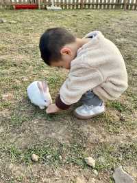 成都周邊1h，新開的橘子主題樂園