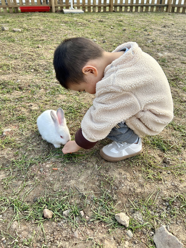 成都周邊1h，新開的橘子主題樂園