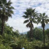 Conghua - The Home of Relaxation 