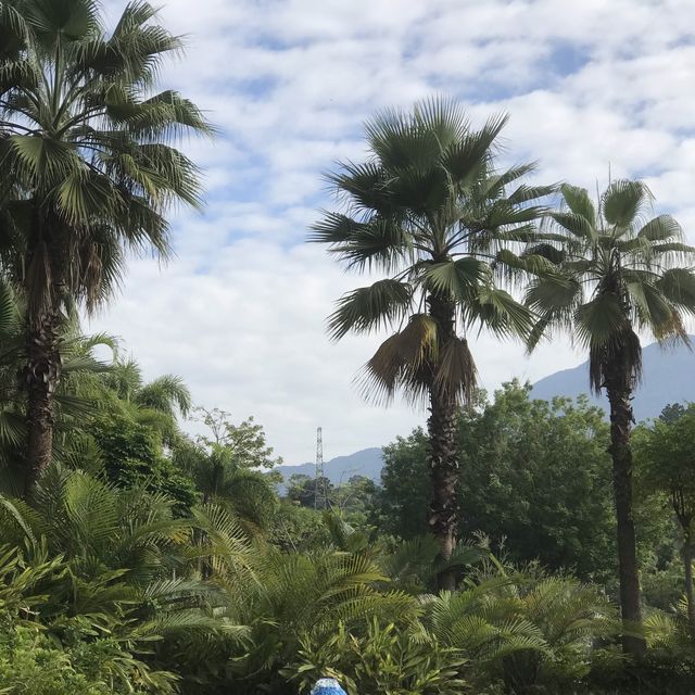 Conghua - The Home of Relaxation 