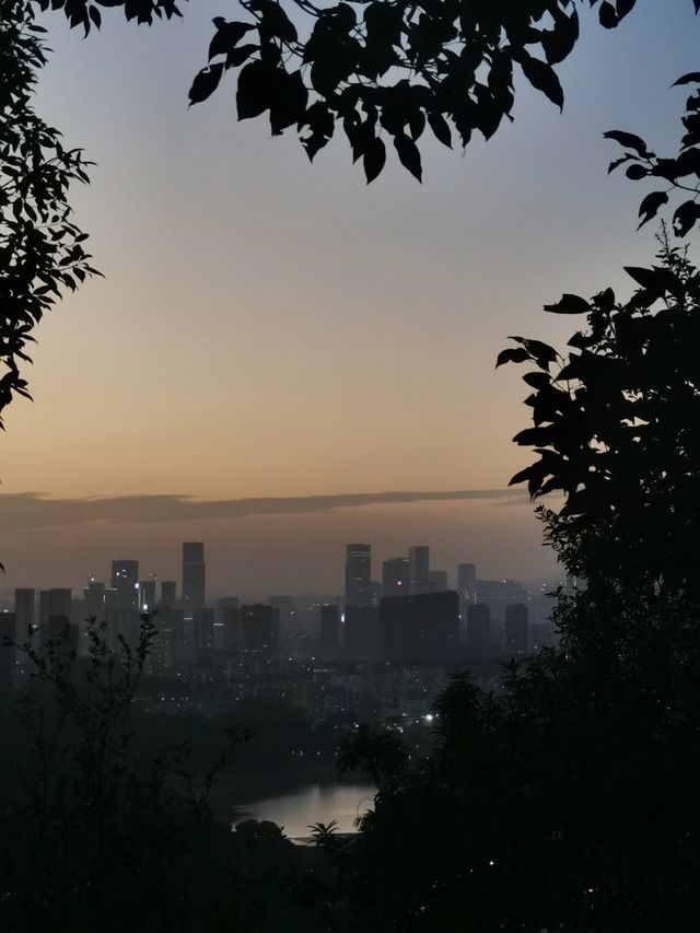 深圳賞秋！小眾氧吧輕徒步路線