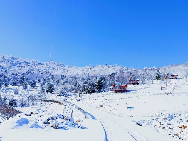 吉林絕美小眾賞雪地：在這個冬天誤入仙境