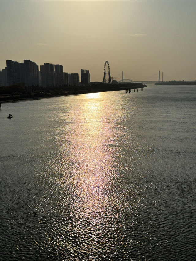 打卡南京青奥公園！散步吸氧好去處！