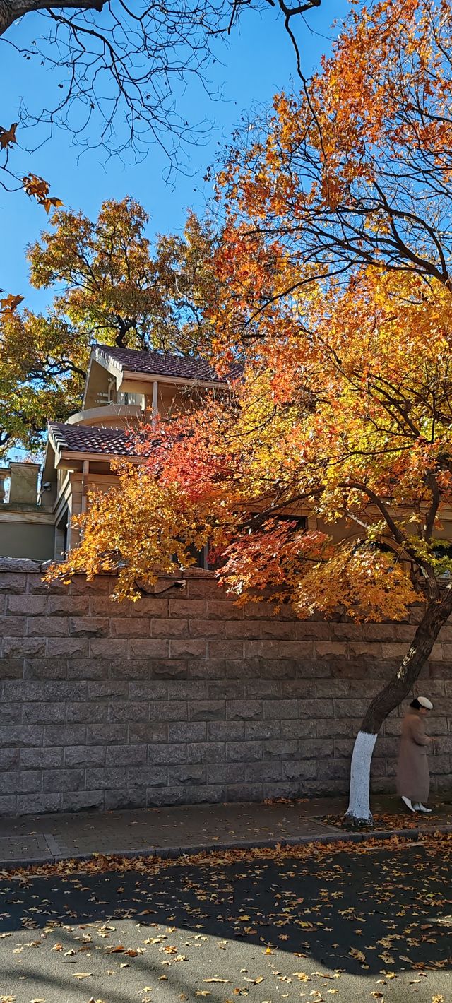 青島八大關異國建築群在色彩斑斕的閃爍下更加奪目迷人 青島八大關異國建築群在色彩斑斕的閃爍下更加奪目迷人