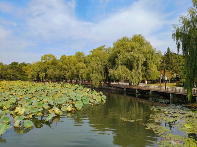 秋遊長春南湖公園