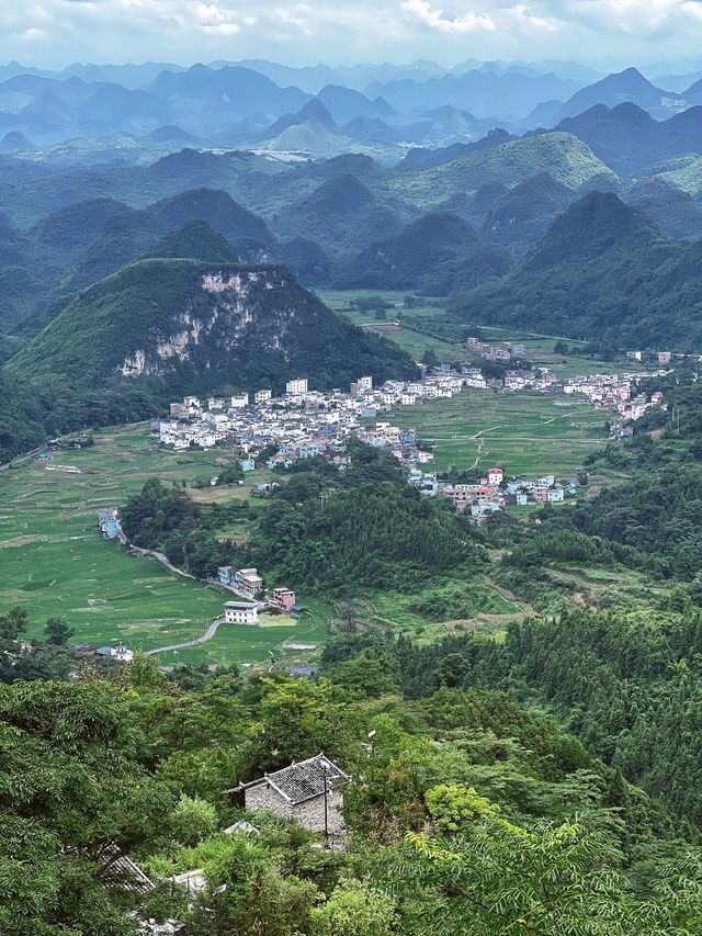 後悔自己為什麼沒早點發現這個寶藏地