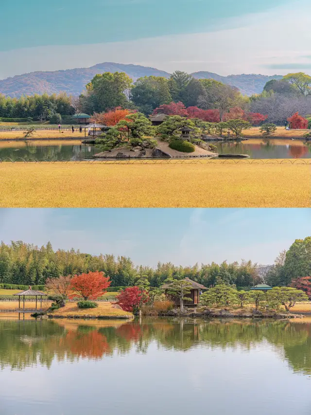 Korakuen in Okayama during the autumn season