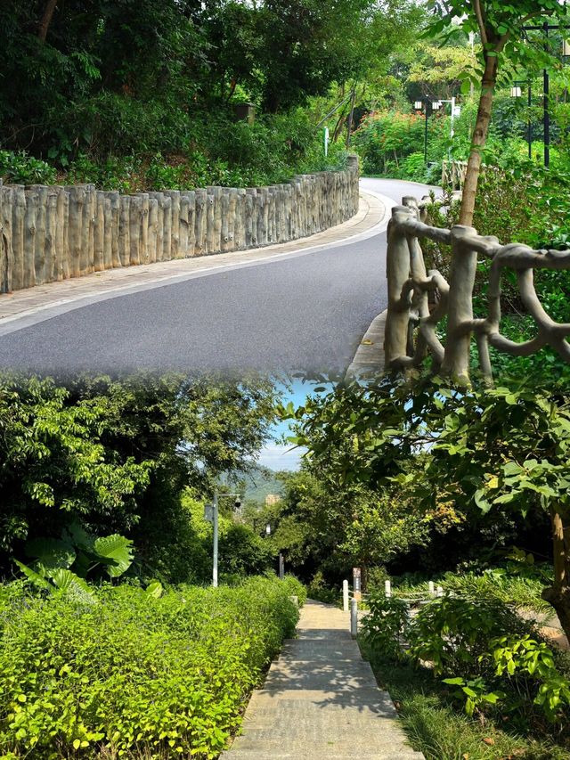 "深圳企龍山足球公園：仙境般的登山探索之旅"