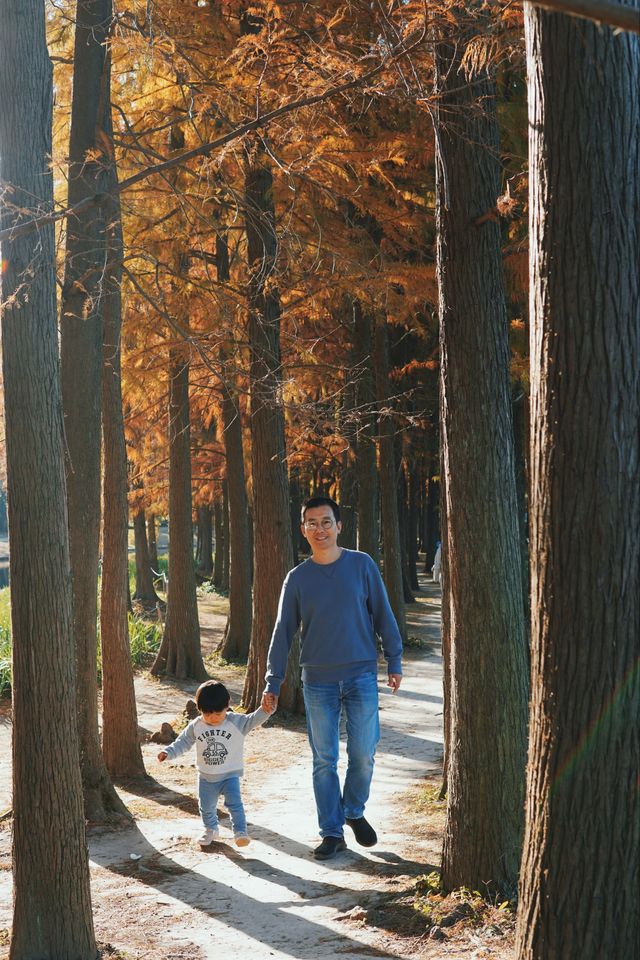 一定要帶孩子去看看，共青森林公園的秋天!