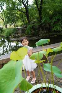 親子遊好去處/蘇州後花園—拙政園
