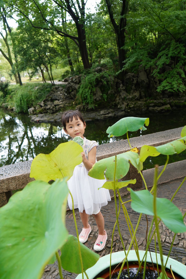 親子遊好去處/蘇州後花園—拙政園 親子遊好去處/蘇州後花園—拙政園