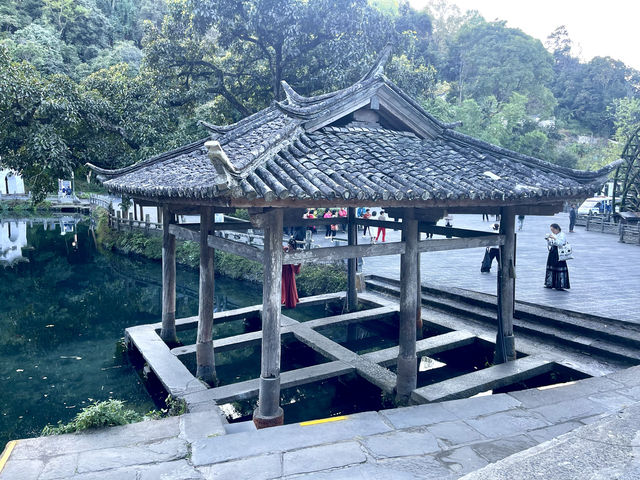 水天一色，恬靜安祥～和順古鎮野鴨湖