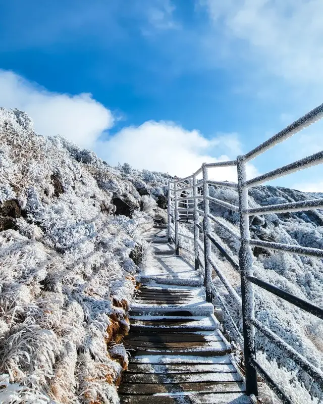 冬日童話：雪の中のハンナ山、私の心を征服！