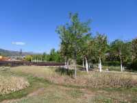 邛海之濱·最美花園——吉祥花雕園