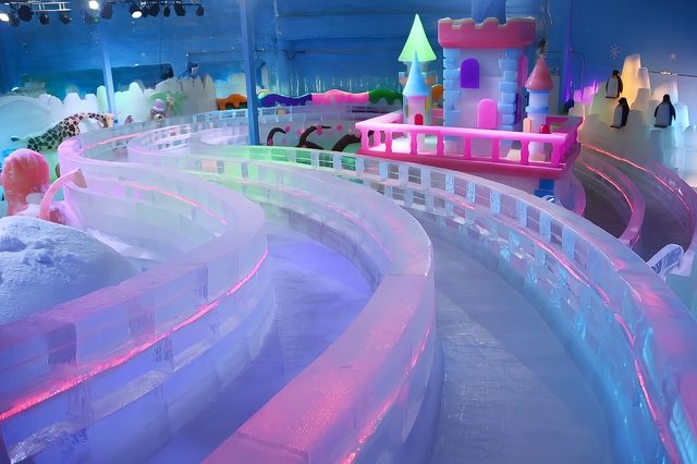 深圳人有自己的“爾濱”！｜深圳野生動物園裡的冰雪世界!