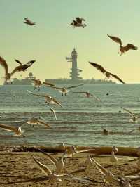 河北秦皇島 | 冬季的景色美出天際堪稱一絕