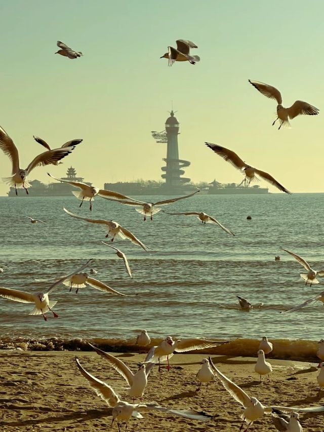 河北秦皇島 | 冬季的景色美出天際堪稱一絕 河北秦皇島 | 冬季的景色美出天際堪稱一絕